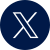 x icon